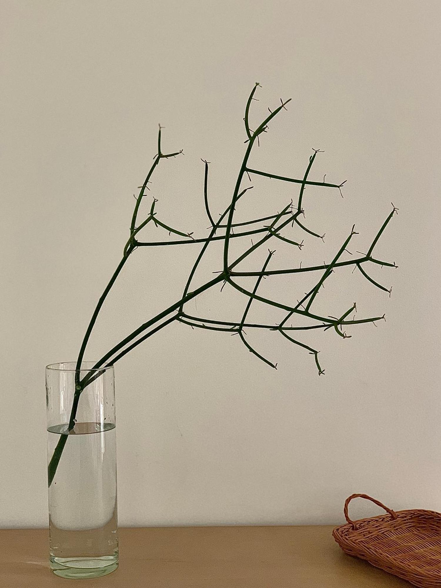 Apartament Lela House Dong Hoi Zewnętrze zdjęcie